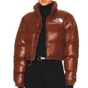 The North Face Brown Puffer Jacket with High Collar and Quilted Design